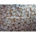 Frozen Peeled Garlic Cloves/Frozen Diced garlic/Frozen Mashed Garlic